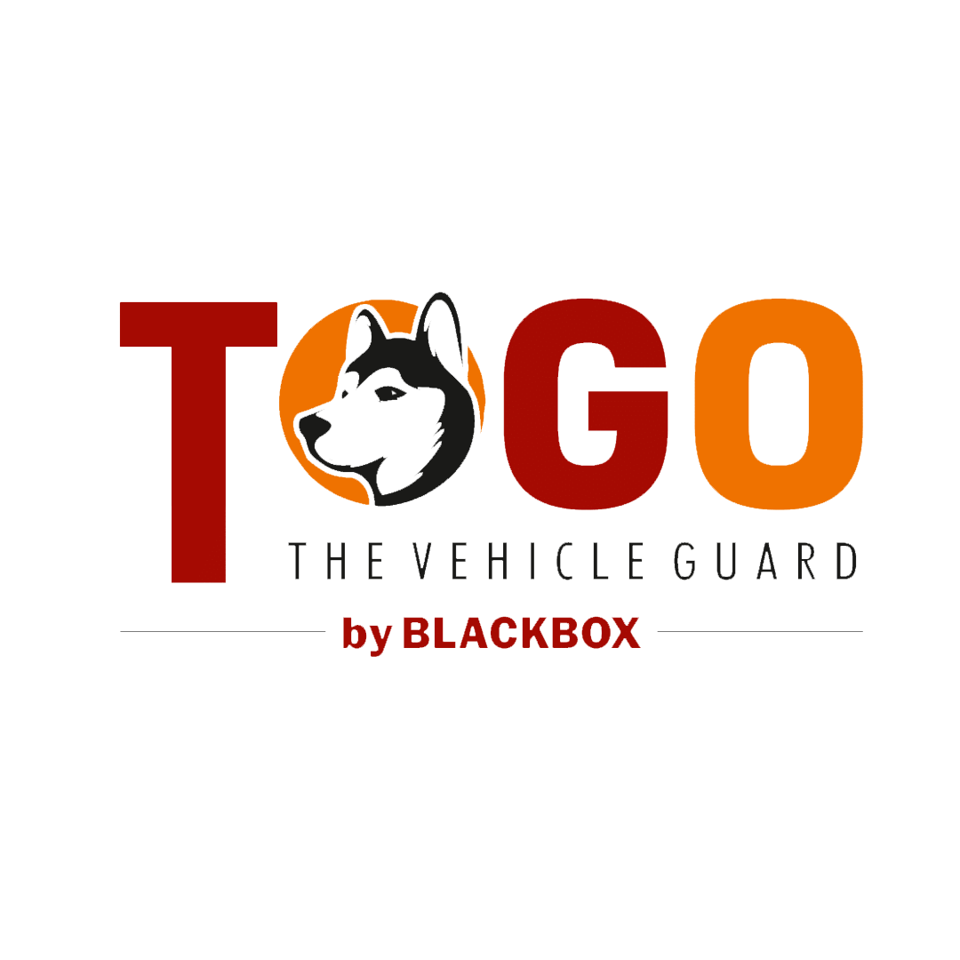 Vehicle Anti Theft Device Logo